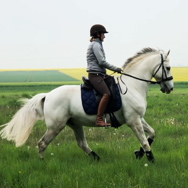 Spécificités | Haras Des B